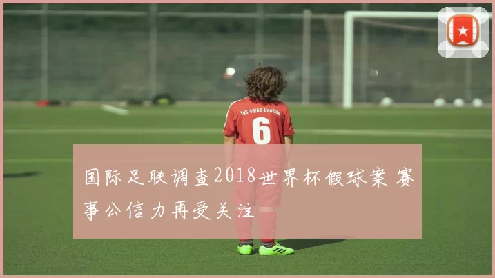 国际足联调查2018世界杯假球案 赛事公信力再受关注