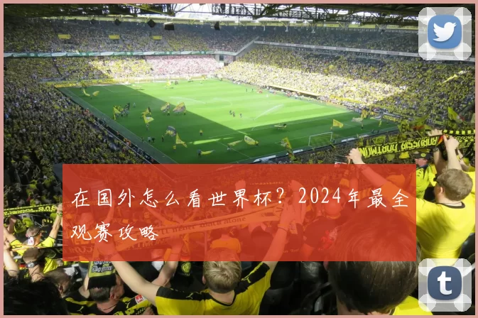 在国外怎么看世界杯？2024年最全观赛攻略