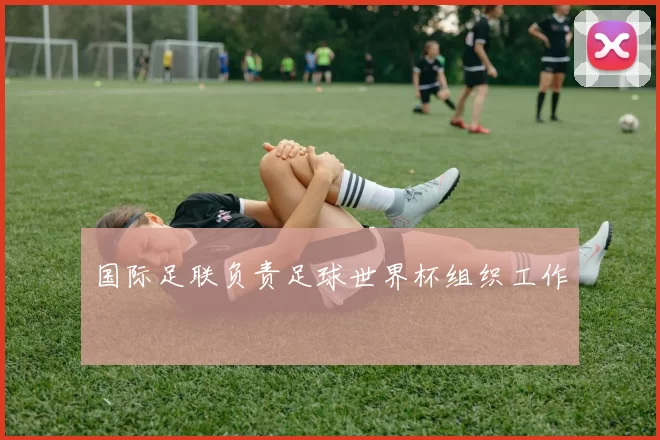 国际足联负责足球世界杯组织工作