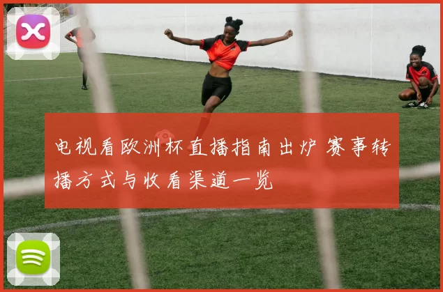 电视看欧洲杯直播指南出炉 赛事转播方式与收看渠道一览
