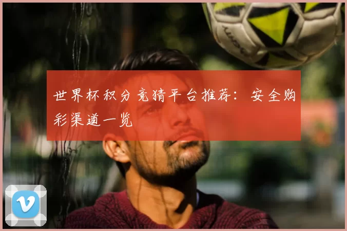 世界杯积分竞猜平台推荐:安全购彩渠道一览