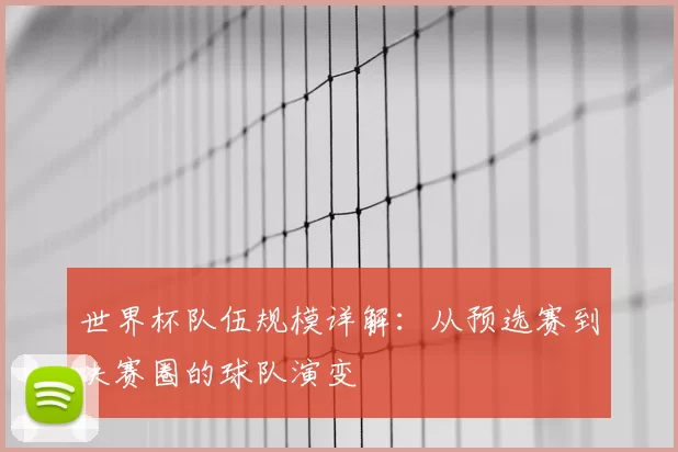 世界杯队伍规模详解：从预选赛到决赛圈的球队演变