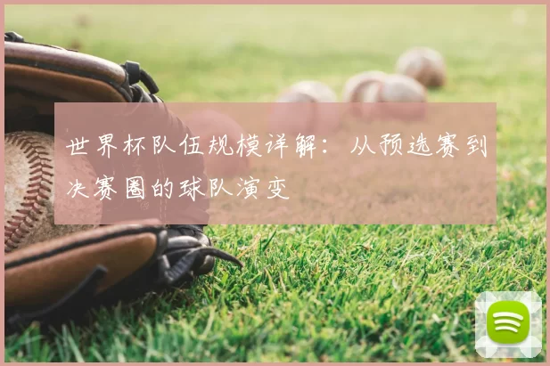 世界杯队伍规模详解:从预选赛到决赛圈的球队演变