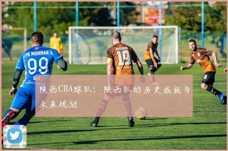 陕西CBA球队：陕西队的历史成就与未来规划