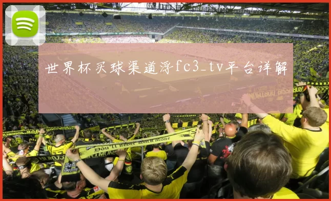 世界杯买球渠道浮fc3_tv平台详解