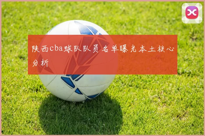 陕西cba球队队员名单曝光本土核心分析