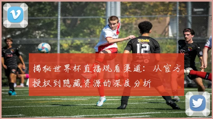 揭秘世界杯直播观看渠道:从官方授权到隐藏资源的深度分析