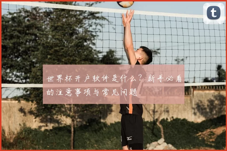 世界杯开户软件是什么？新手必看的注意事项与常见问题