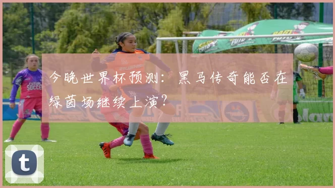 今晚世界杯预测：黑马传奇能否在绿茵场继续上演？